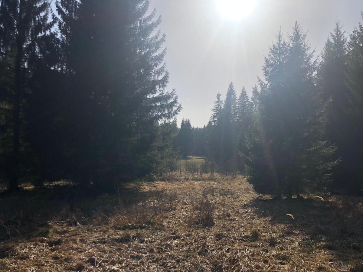 Safar Residence Hrachoviste Екстер'єр фото