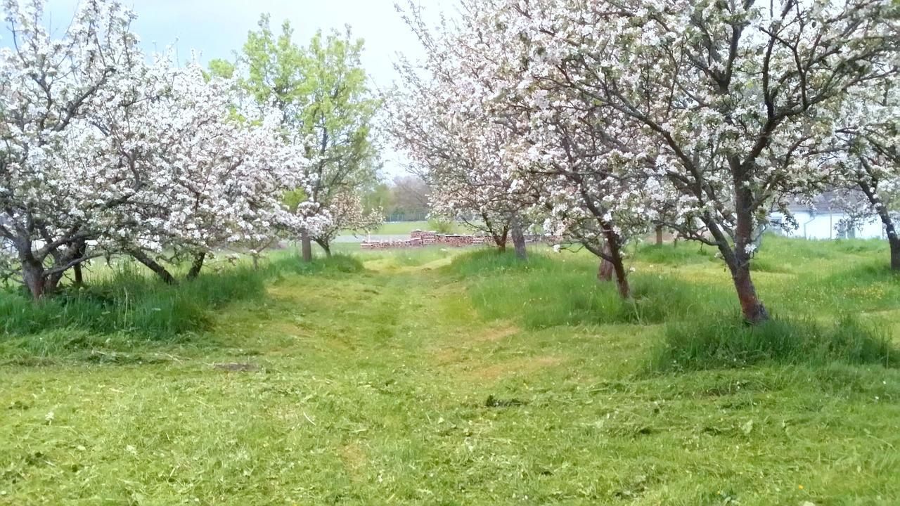 Safar Residence Hrachoviste Екстер'єр фото